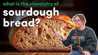 What's the Chemistry inside Sourdough Bread?