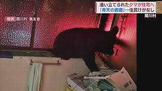 青天の霹靂…！網戸を破って飛び込んできたクマ 洗面所がめちゃくちゃに【新潟･関川村】スーパーJにいがた9月22日OA