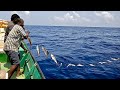 Catching Plenty of Rosy Snapper Fish in the Deep Sea