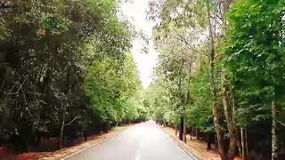 មាគា៌ទៅកាន់អង្គរ The way to Angkor