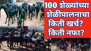 100 शेळ्यांच्या शेळीपालनाचा, किती खर्च? किती नफा? /Goat farming.