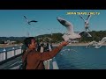 walking arround in takejima gamagori 竹島蒲郡です。 viralshorts viral shorts fyp foryou 日本 蒲郡市顎関節 愛知県