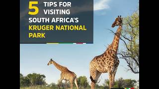 5 Tips for Visiting South Africa's Kruger National Park