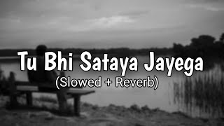 Vishal Mishra | Tu Bhi Sataya Jayega [Slowed + Reverb]