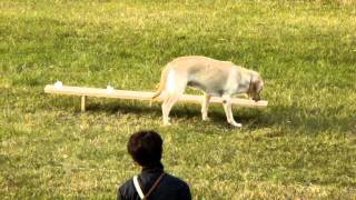 ２０１１中国訓練チャンピオン　選別決勝（４回戦の２回目）　　デコ