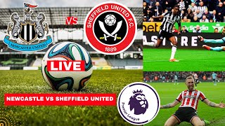 Newcastle vs Sheffield United 5-1 Live Stream Premier League Football EPL Match Score Highlights FC