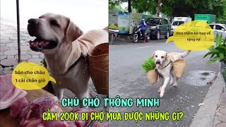 Chú chó thông minh cầm 200k đi chợ, Củ Cải mua được những gì?