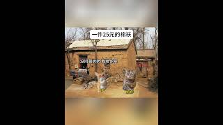 一件25元的棉服，对于奶奶来说是一个冬天的温暖 #猫meme #真实故事   #funny #迷恋  #猫meme小剧场 #cat #萌宠  #meme #貓 #pets