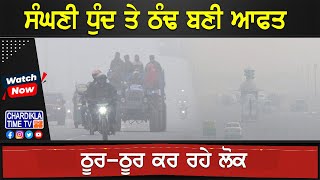 ਸੰਘਣੀ ਧੁੰਦ ਤੇ ਠੰਢ ਬਣੀ ਆਫਤ, ਠੂਰ-ਠੂਰ ਕਰ ਰਹੇ ਲੋਕ | Amritsar Weather