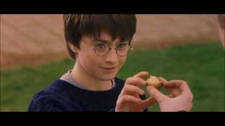 Oliver Wood explaining Quidditch