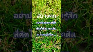 มันคือแคปชั่น #5วิอ่านเอง #ความจริง #ความรู้สึก #เพื่อน #เตือนสติ #แคปชั่นโดนใจ  #shorts