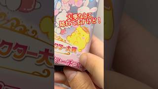 ＊確定のサンリオキャラクター大賞デザインは当たるのか!? ウエファーチョコ開封!! #shorts #short #sanrio #サンリオ