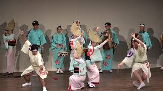 秋の座･高円寺阿波おどり 若駒連 20191109