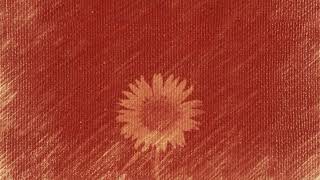 Joel Ansett - Lost for Now (acoustic)