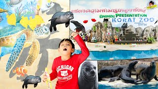 แมวน้ำโชว์แบบนี้นี่เอง!! สวนสัตว์นครราชสีมา KORAT ZOO l ฮาร์พฮายน์