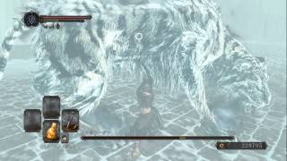 DARK SOULS 2 level1 王の仔アーヴァ