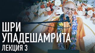 2023.08.28 - Шри Упадешамрита. Лекция 3 (Дикша ретрит, Беларусь) - Бхакти Вигьяна Госвами