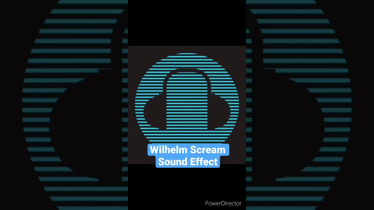 Wilhelm Scream Meme Sound Effect - #Shorts - YouTube