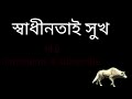 স্বাধীনতার সুখ কুকুর ও নেকড়ে dog u0026 wolf bangla choto golpo bangla 3d u0026 2d animation video moral