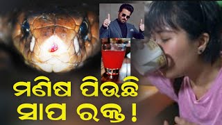 ଭାରତର ଏହି ହିରୋ ସକାଳୁ ସକାଳୁ ପିଅନ୍ତି ସାପ ରକ୍ତ......