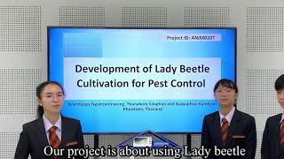 Development of Lady Beetle Cultivation for Pest Control