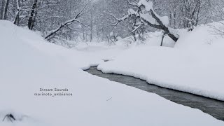 [ 環境音 川の音 42分]~2022年 北海道石狩市厚田川に降る雪~StreamSounds/Snow Falling on the Atsuta river/Hokkaido,Japan]