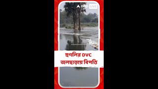 হুগলির DVC জলছাড়ায় বিপত্তি। খানাকুলে বাঁধ ভেঙে চাষের জমি প্লাবিত। ব্যাপক ক্ষতির আশঙ্কা