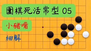 【圍棋死活常形 05】小豬嘴 細解