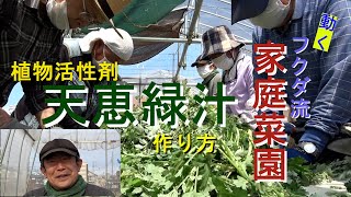 【家庭菜園】天恵緑汁　野菜を元気にする味方（おまかせ菜園フクダ流）