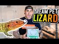 I Can't Believe How Amazing My New Pet Lizard Is! Unboxing!