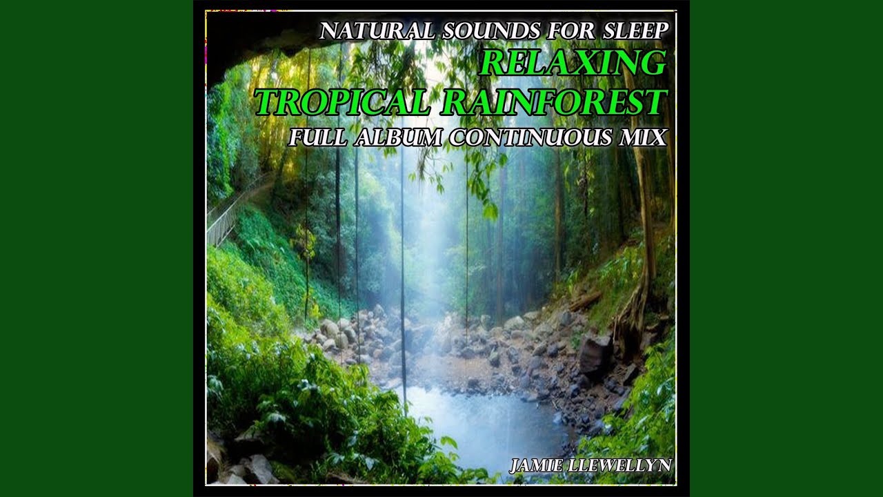 Natural Sounds For Sleep Relaxing Tropical Rainforest Youtube Music