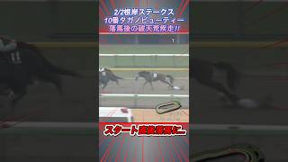 根岸Ｓで落馬後のタガノビューティー破天荒競馬について　#shorts   #タガノビューティー   #根岸ステークス