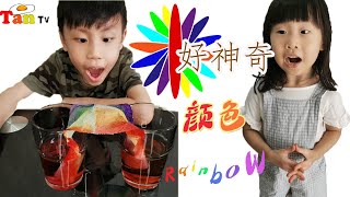 神奇的彩虹桥 颜色会走路实验 Rainbow Bridge color experiment