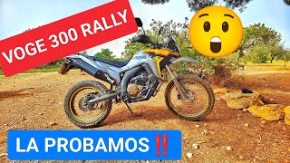 ‼️Probamos la VOGE 300 RALLY ‼️🥇 (Capítulo 24) #voge #voge300rally