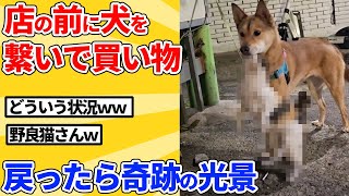 [2ch Animal Thread] Shopping with dog tied up in front of store → Miracle situation when returnin...