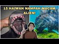 15 Haiwan Nampak Macam Alien!