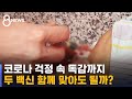 독감 백신도 코로나 중증 위험 낮춘다 / SBS