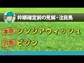 マーメイドステークス2023【予想】波乱のハンデg3！本命と穴馬はコレで決まり🐴 ～jraマーメイドsの枠順確定前競馬予想～