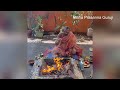 vatuka bhairava dakshina kali and brihad varahi homam maha prasanna guruji