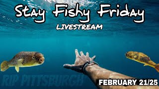 Stay Fishy Friday livestream  2/21/25