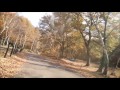 群馬県みなかみ町 裏見の滝 駐車場まで 紅葉