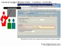 SAP ERP FI (Finance) General Ledger Master Account Creation