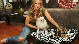 37 Amazing Photos Of Carmen Electra