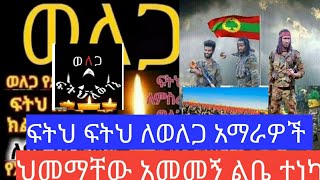 #ፍትህ ለምስራቅ #ወለጋ ለአማራ #ተፈናቃዮች