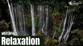 Tranquil Waterfalls: Nature's Symphony for Ultimate Relaxation #relaxation #waterfalls