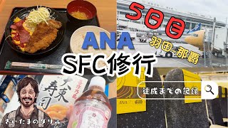 [SFC修行5日目]ケンミン食堂と大東寿司/スターウォーズ仕様機材搭乗/これからANAのSFC修行を考えている方に見て欲しい