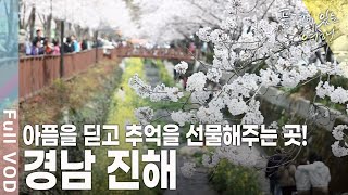 진해 하면 벚꽃! 하지만 광복 이후 전부 사라졌었다? [풍경이있는여행 KBS 20110423 방송]