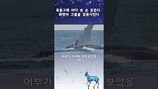 혹등고래 바다 속 손 흔든다. 화면이 그물을 감동시킨다