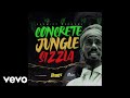 Sizzla - Concrete Jungle (Official Audio)