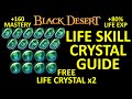 NEW Life Skill Crystal Guide (+160 Mastery or +80% Life EXP) FREE Crystal (Black Desert Online) BDO